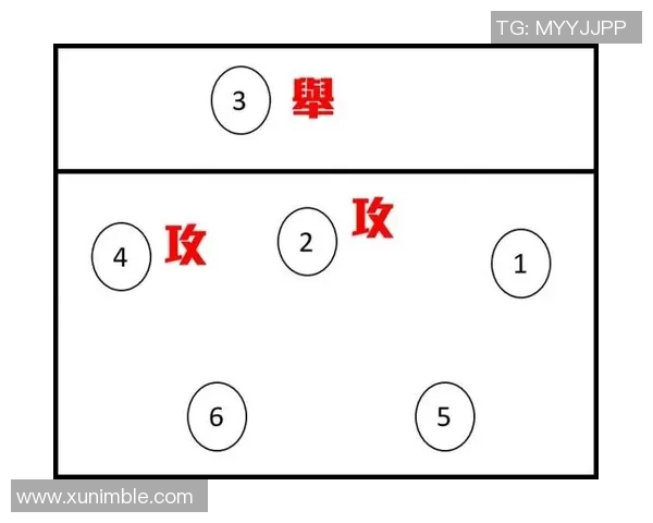 杭州排球队进攻战术解析与比赛表现的深度剖析