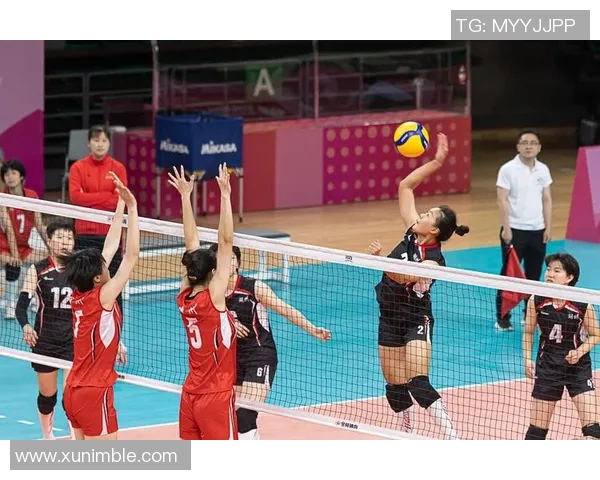 杭州排球队状态分析与备战策略探讨聚焦排球运动发展新机遇