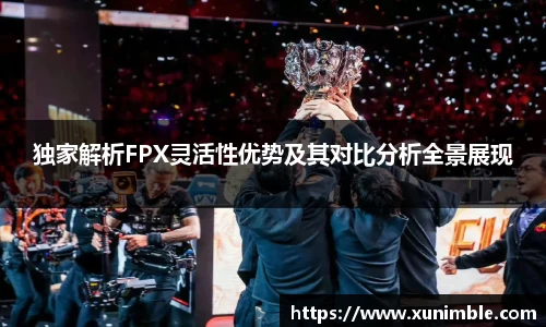 独家解析FPX灵活性优势及其对比分析全景展现